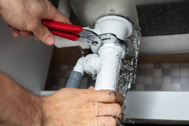 Best Water damage mitigation services  in Waynesburg, OH