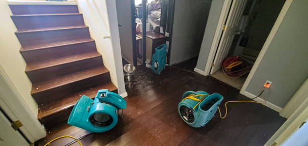 Best Residential water damage restoration  in Waynesburg, OH