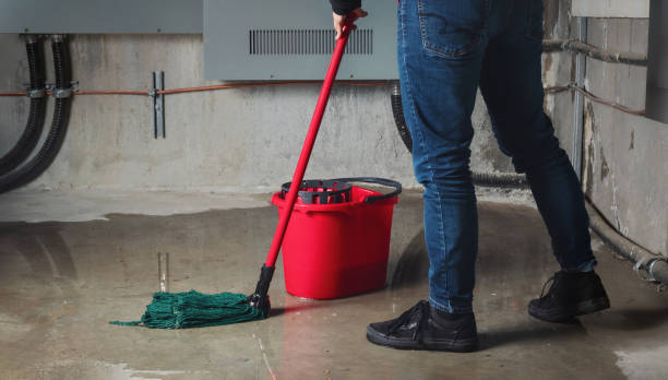 Best Professional water damage repair  in Waynesburg, OH