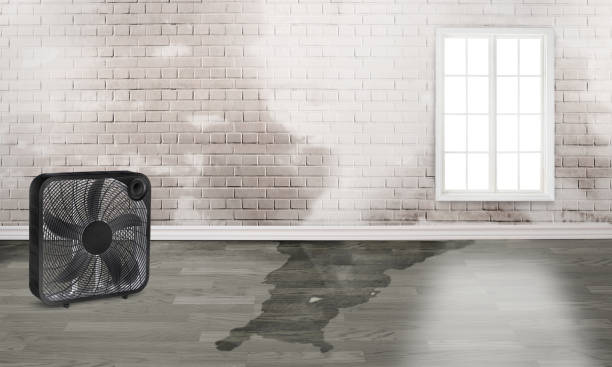  Waynesburg, OH Water damage restoration Pros