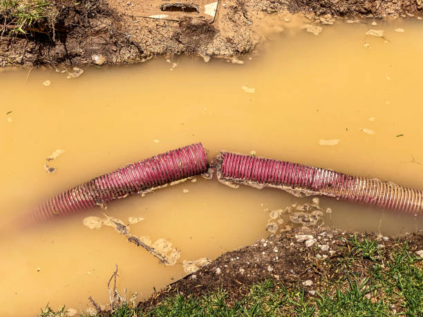 Best Water damage restoration near me  in Waynesburg, OH