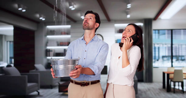 Best Basement water damage restoration  in Waynesburg, OH
